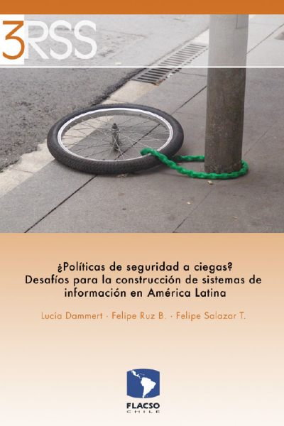 ¿Políticas de seguridad a ciegas? Desafíos para la construcción de sistemas de información en América Latina